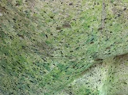 green artificial rock