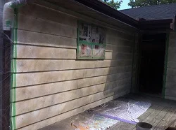 artificial rock painting step
5