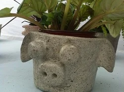 pig garden planter
pot