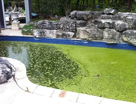 neglected swimming pool