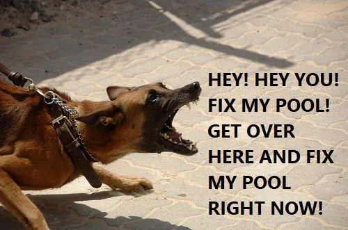 angry pool owner wants pool fixed right now!