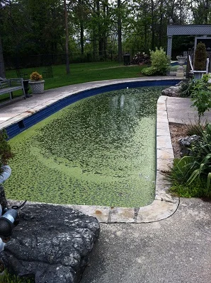 Pool without chlorine
