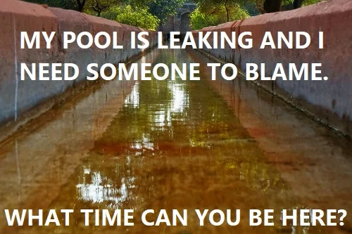 need someone to blame about my pool