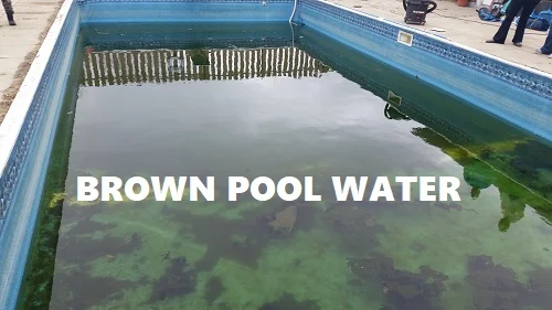 Brown pool water