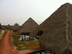 lotus farm huts