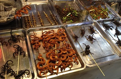 snakes, tarantulas and scorpions in Siem Reap Cambodia