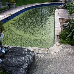 concrete pool painting