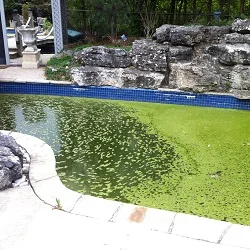 concrete pool painting