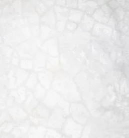 crazing in pool plaster