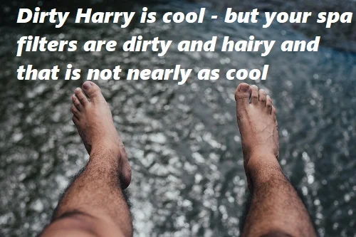 Dirty Harry or Dirty Hairy