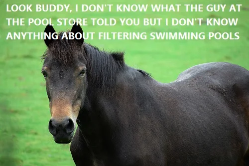 without horsepower you cant filter your pool