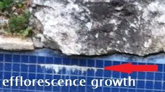 efflorescence growth in a swimming pool