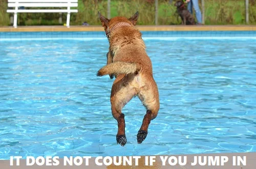 falling into a swimming pool