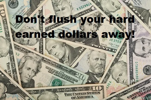 flushing money down the toilet