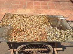 fast food snails in Cambodia