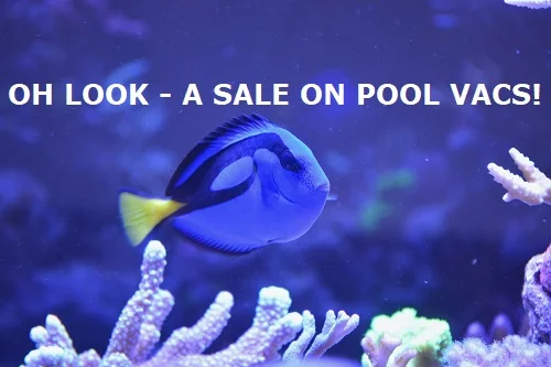 those who forget history are bound to repeat it