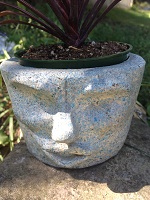Foxy Rocksy Easter Island Statue