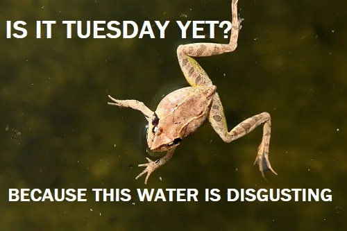 pools are to be cleaned Tuesday and Thursday only