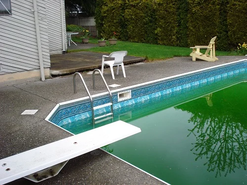 pool water turned green