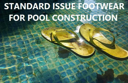 standard issue 