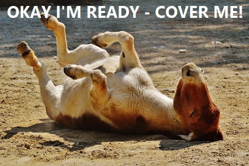 cover your ass