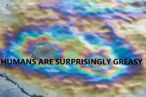 People are surprisingly greasy