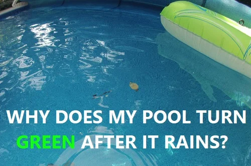 Pool Turns Green After Rain