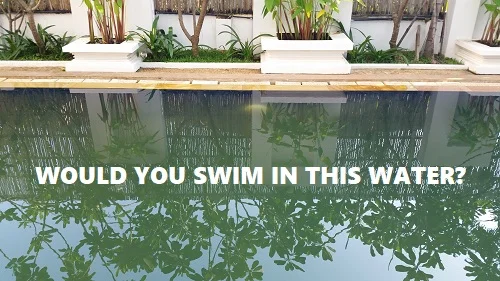 would you swim in this green pool water
