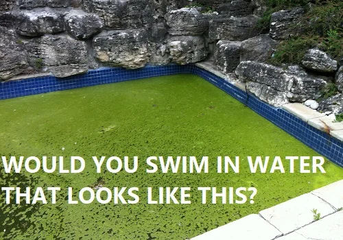 gross pool water