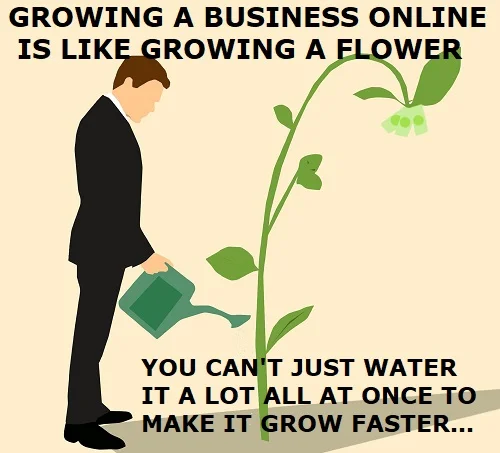growing your business online takes time