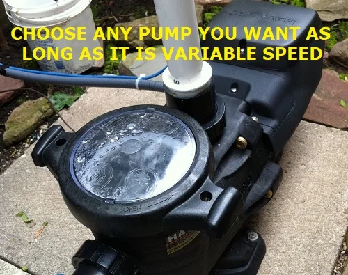 variable speed pool pumps are the best