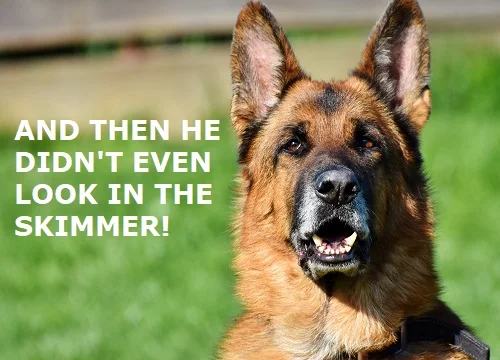 inspection before new liner