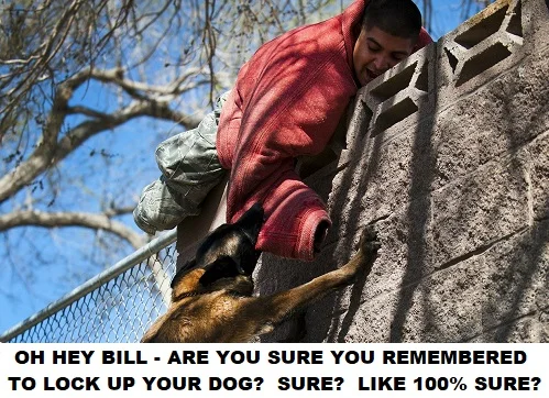 Jumping fence because dog is chasing you