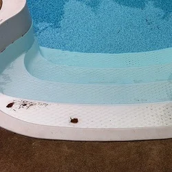 kidney pool safety cover 

install