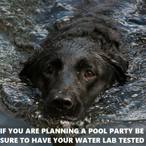 How to get your pool ready for a party