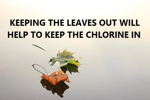 keep leaves out of your pool