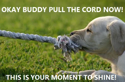 Pulling a pool light conduit cord from the conduit