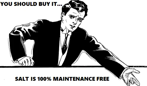 salt water is maintenance free