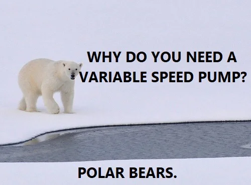 Why do I need a variable speed pool pump?