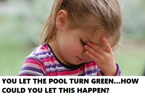 Green pool water before a party