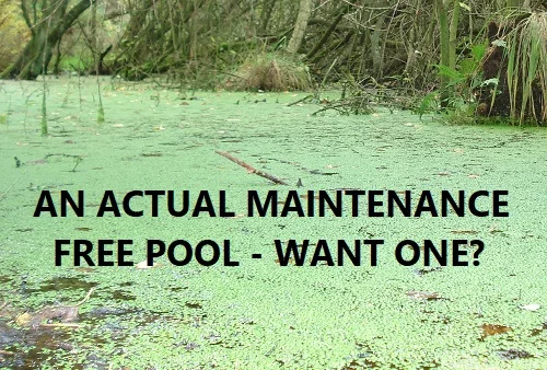 An actual maintenance free pool