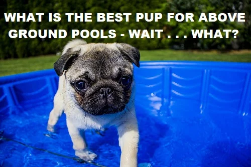 best pup for above ground pools