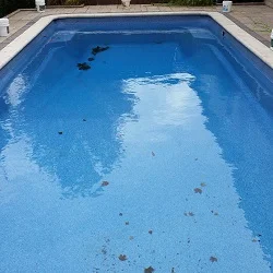 rectangle pool safety 

cover installation progress pictures