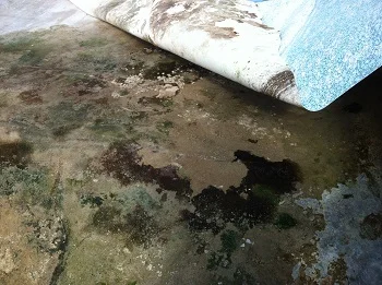 vinyl pool sand floor