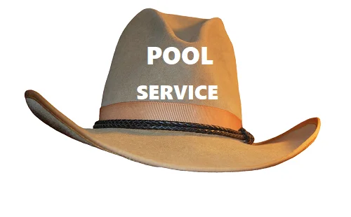 swimming pool snake oil