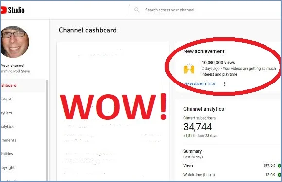 Swimming Pool Steve 10,000,000 Views