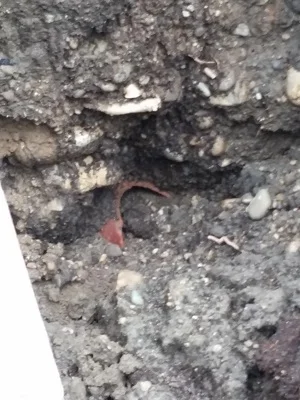 terracotta drain in bottom of sinkhole