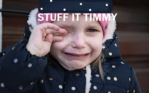 no birthday party for Timmy