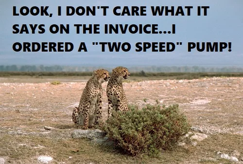 two speed pool pumps