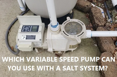 Variable speed pool pump with a salt system